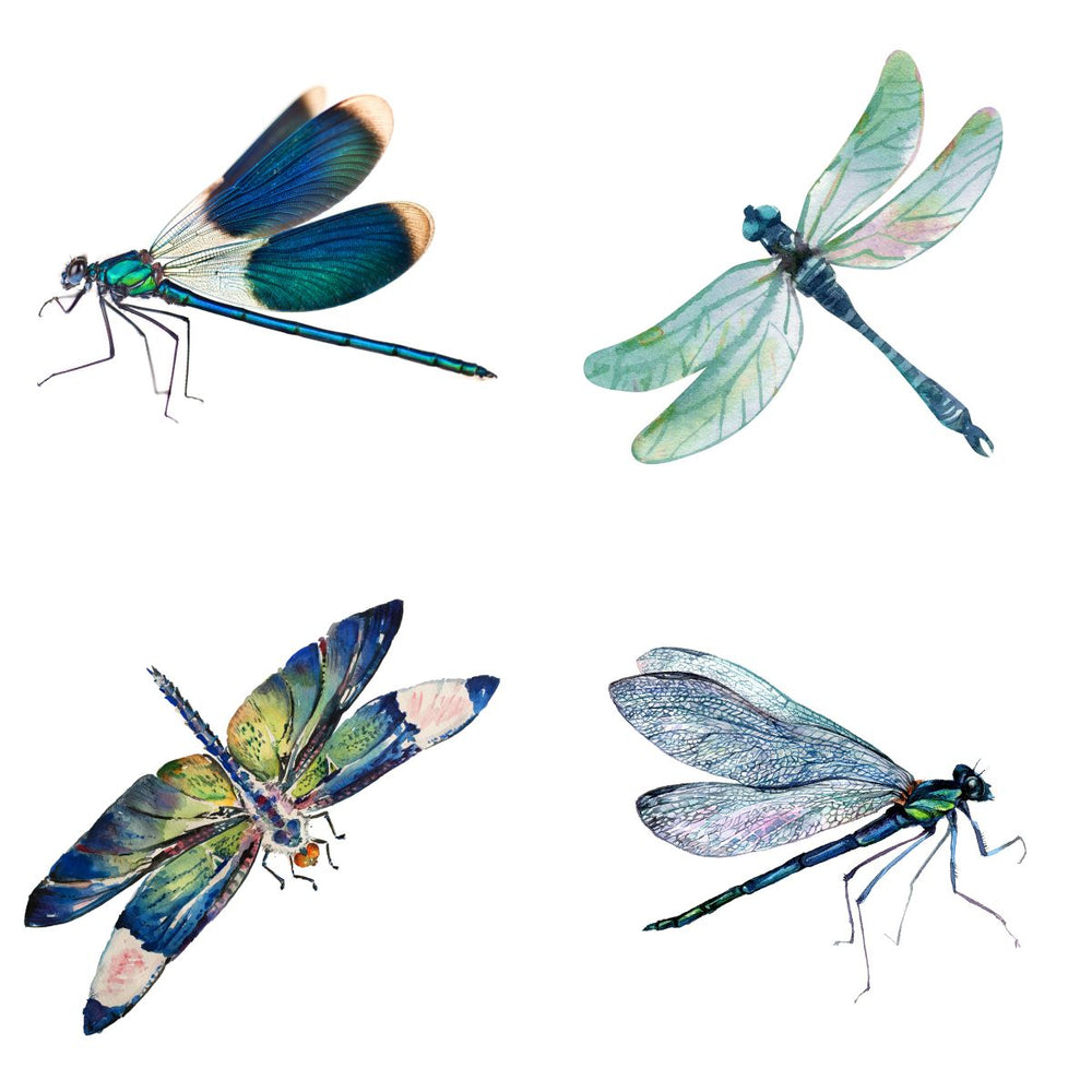 Blue Dragonflies