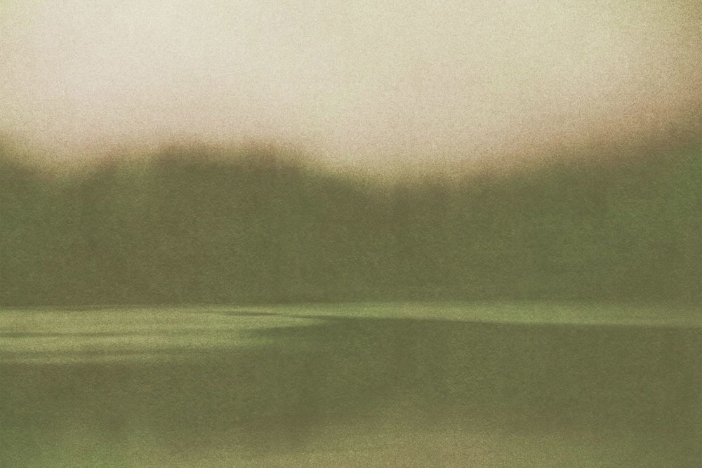 Still Lake And Silent Trees