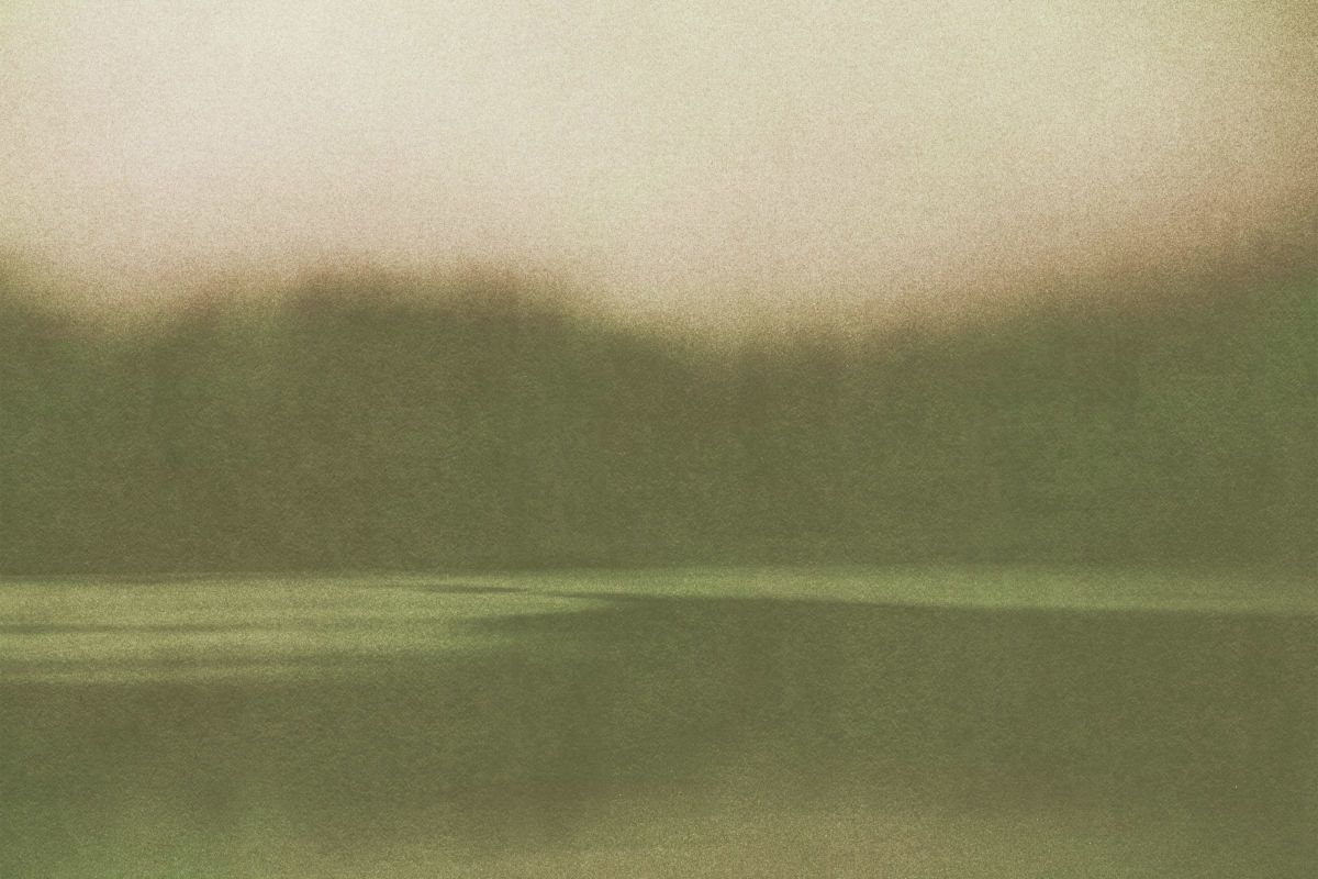 Still Lake And Silent Trees