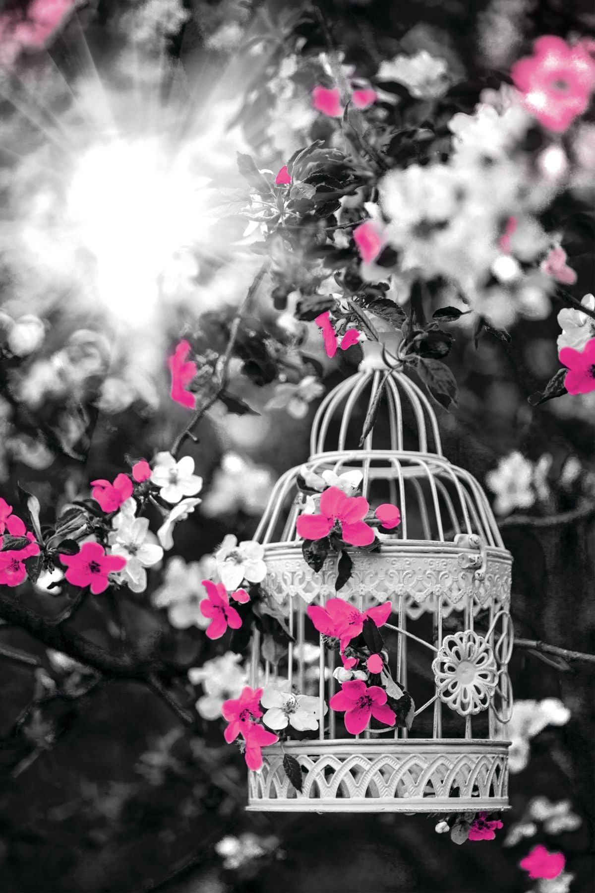 Birdcage Apple Blossoms Pop