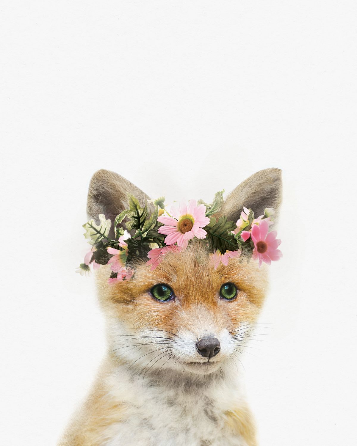 Flower Crown Fox