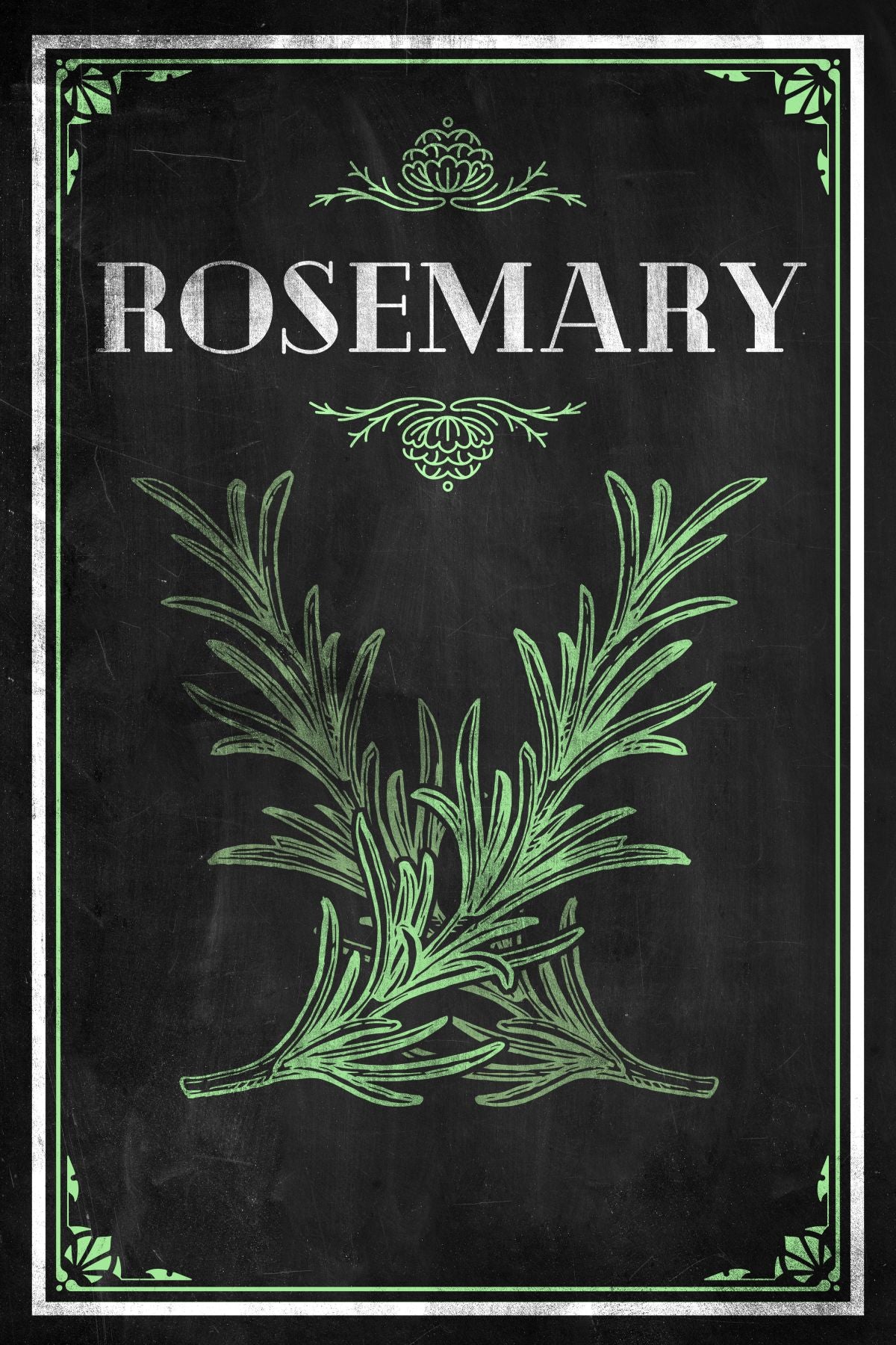 Fresh Rosemary