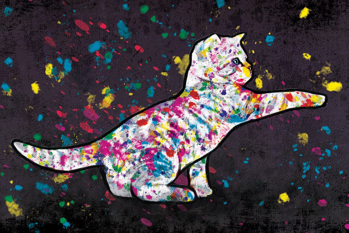 Playful Cat Color Splash Paint
