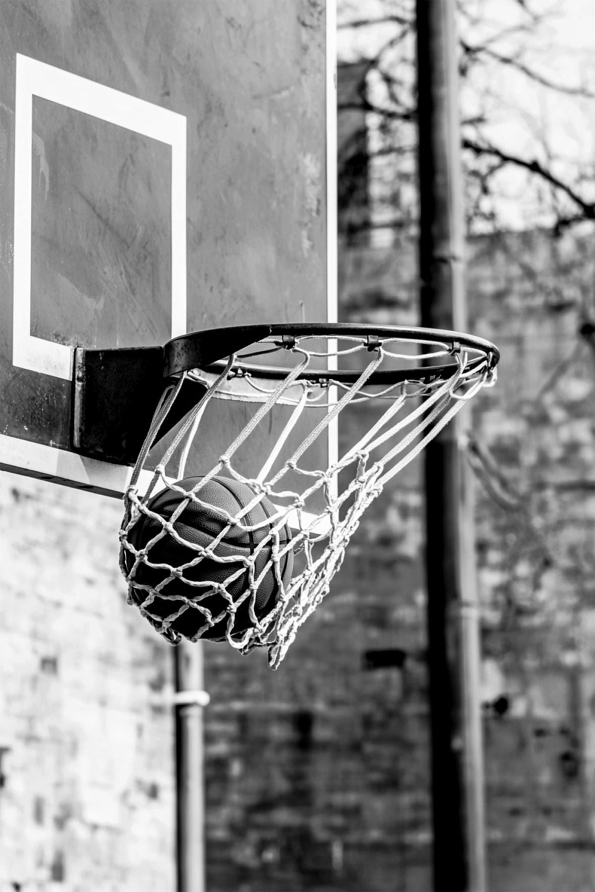 Basketball In The Hoop