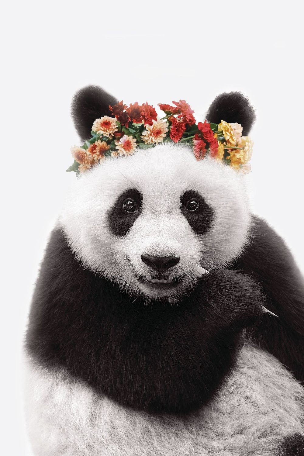 Flower Crown Panda