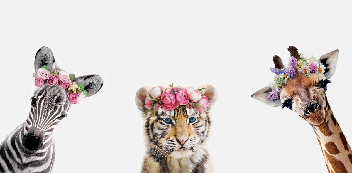 Flower Crown Wild Animals