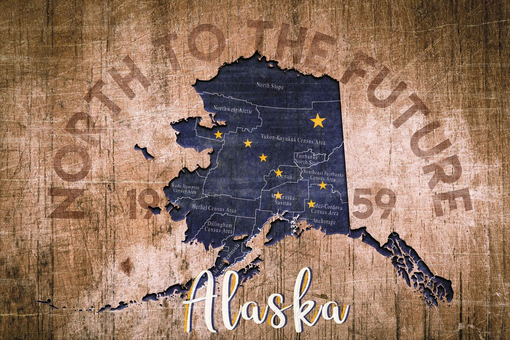 North To The Future Alaska State Map