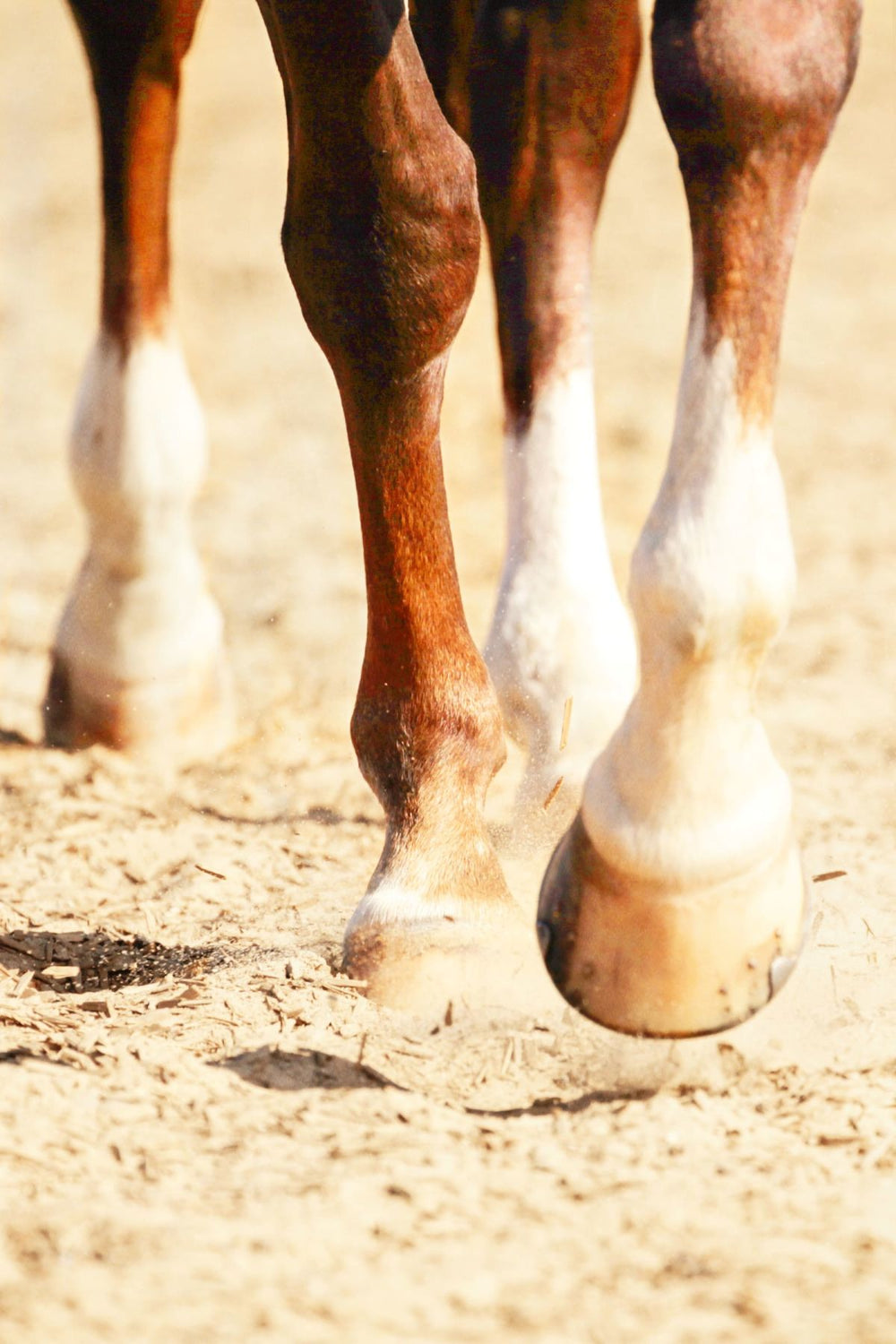Strong Stride