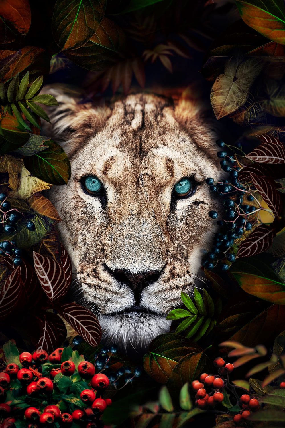 Lion And Berries