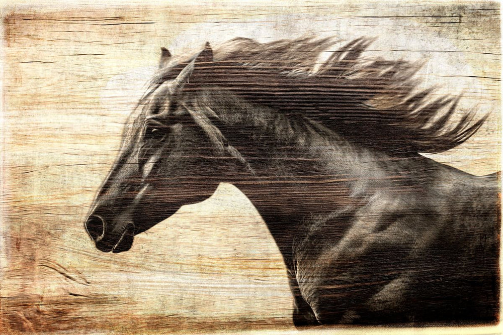 Midnight Horse