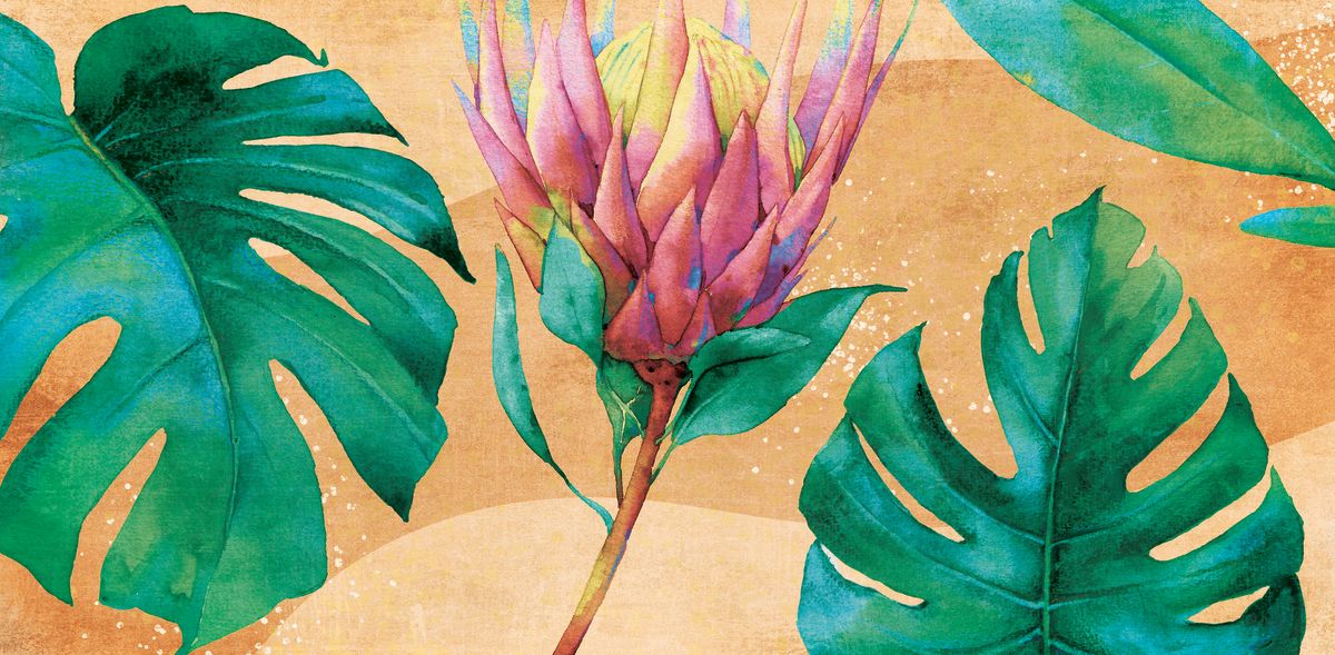 Protea And Monstera