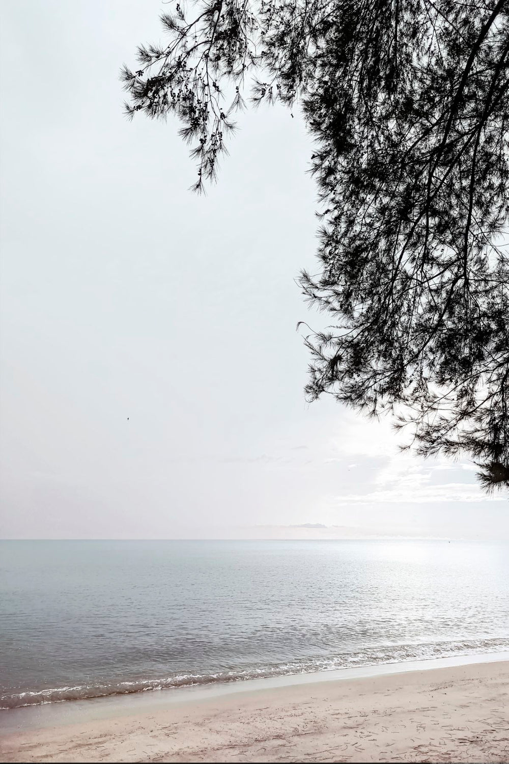 Beach Light