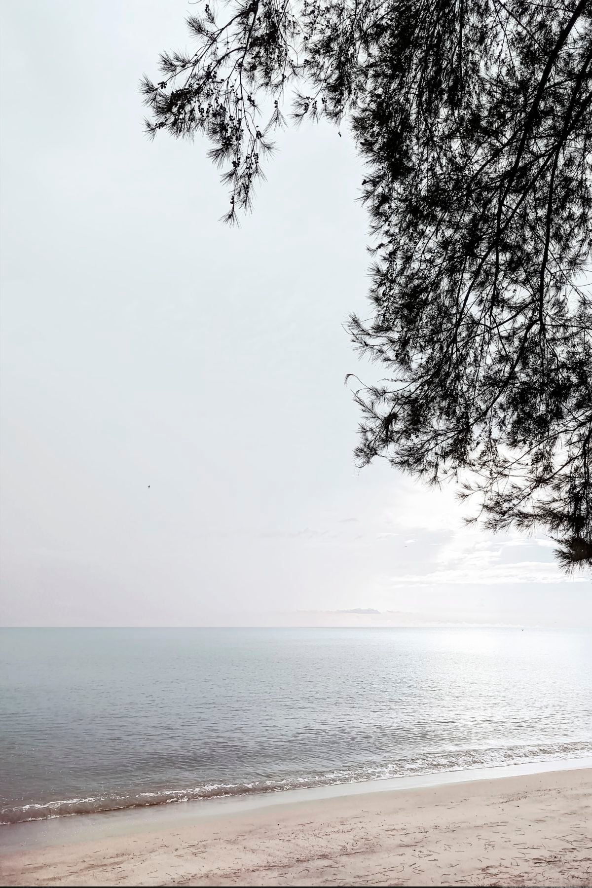 Beach Light