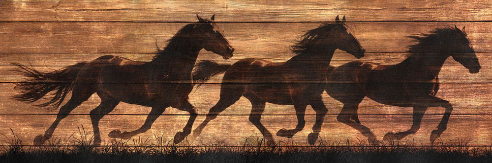 Silhouettes Of Three Running Horses