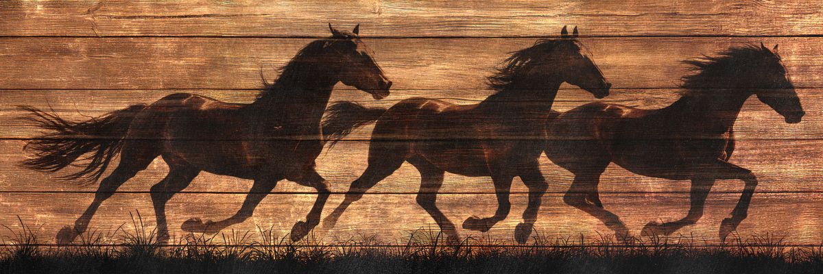 Silhouettes Of Three Running Horses