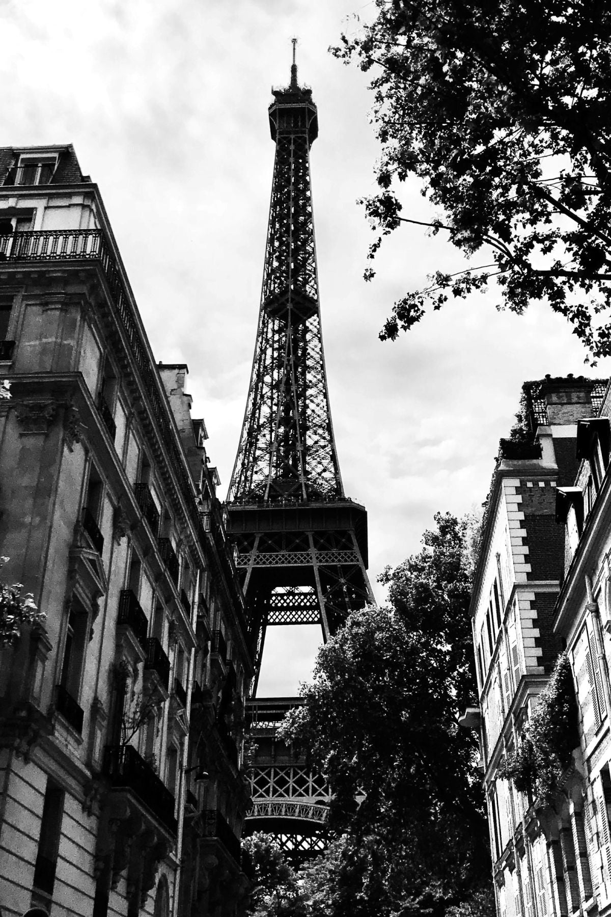Beneath The Grace Of Eiffel