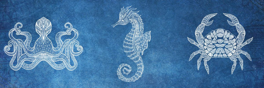 Coastal Trio I Wall Art