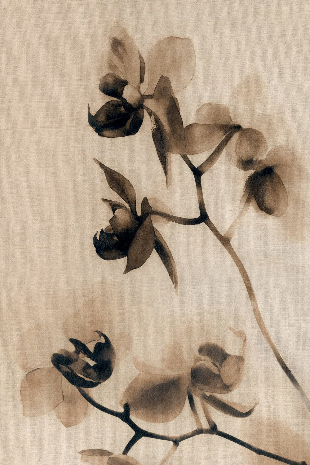 Warm Umber Florals