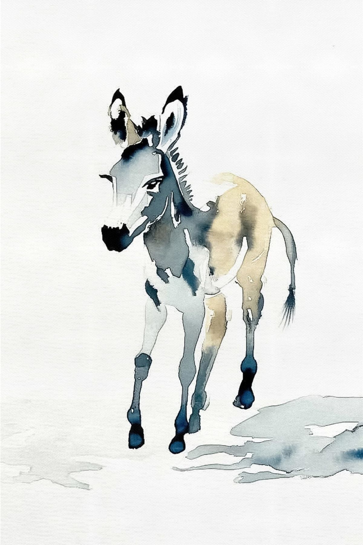 Donkey On Path