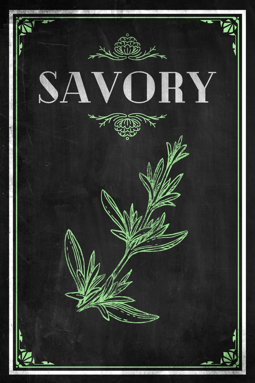 Fresh Savory