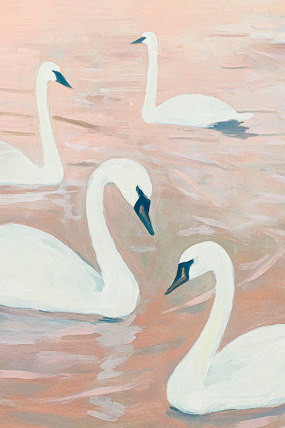 Swans Together On Gentle Waters