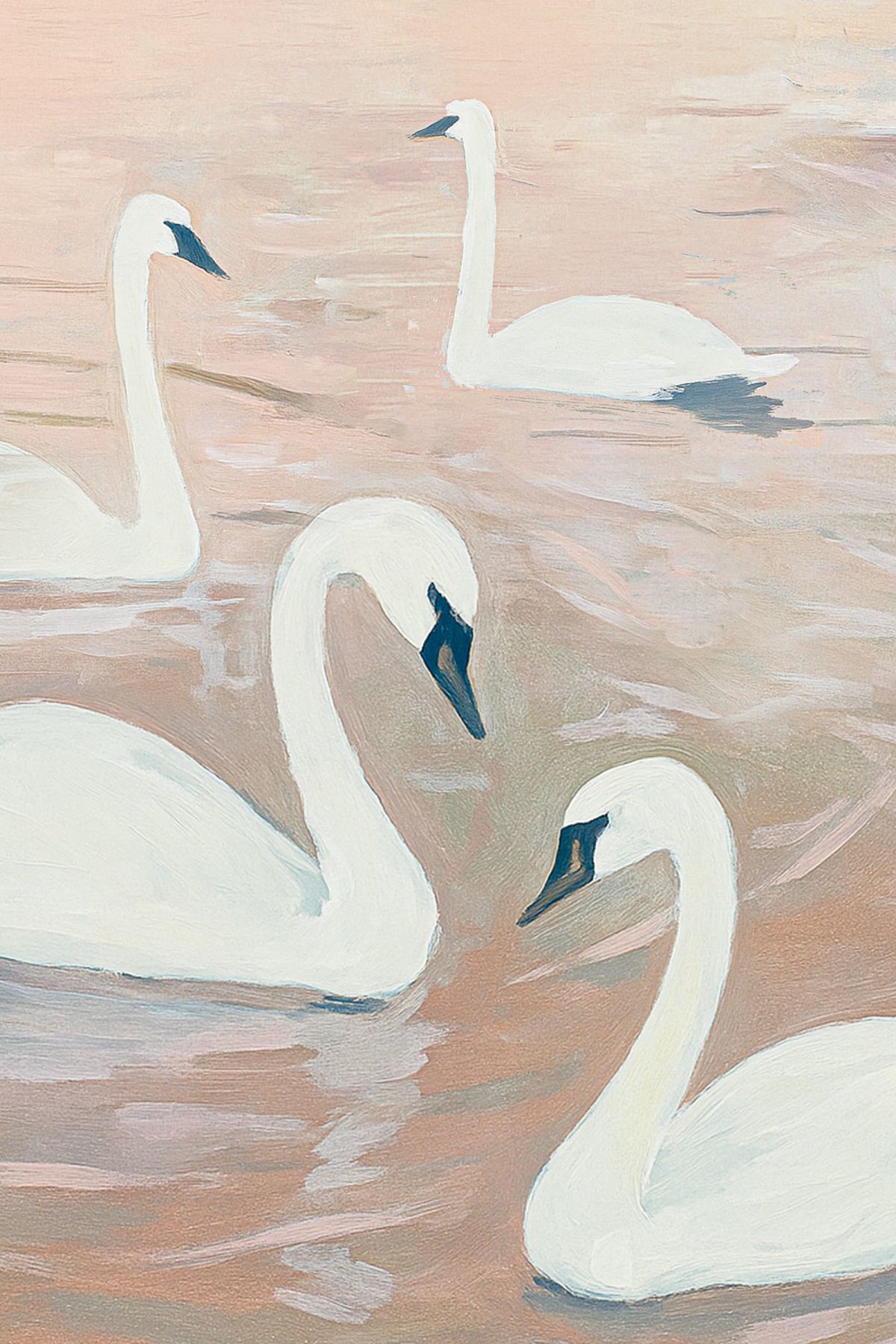 Swans Together On Gentle Waters