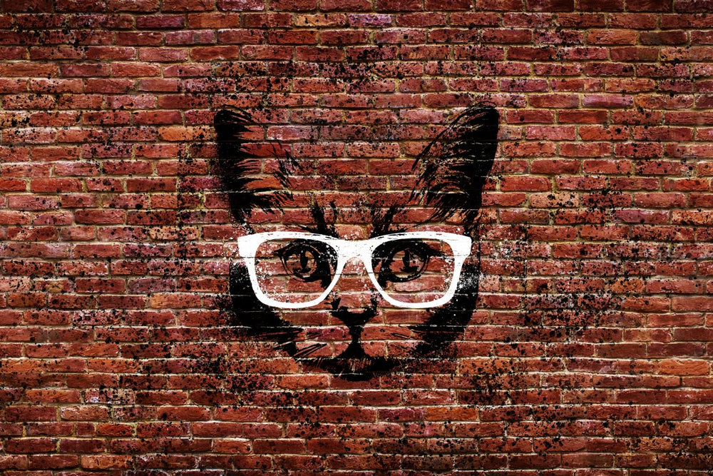 Cat In Glasses