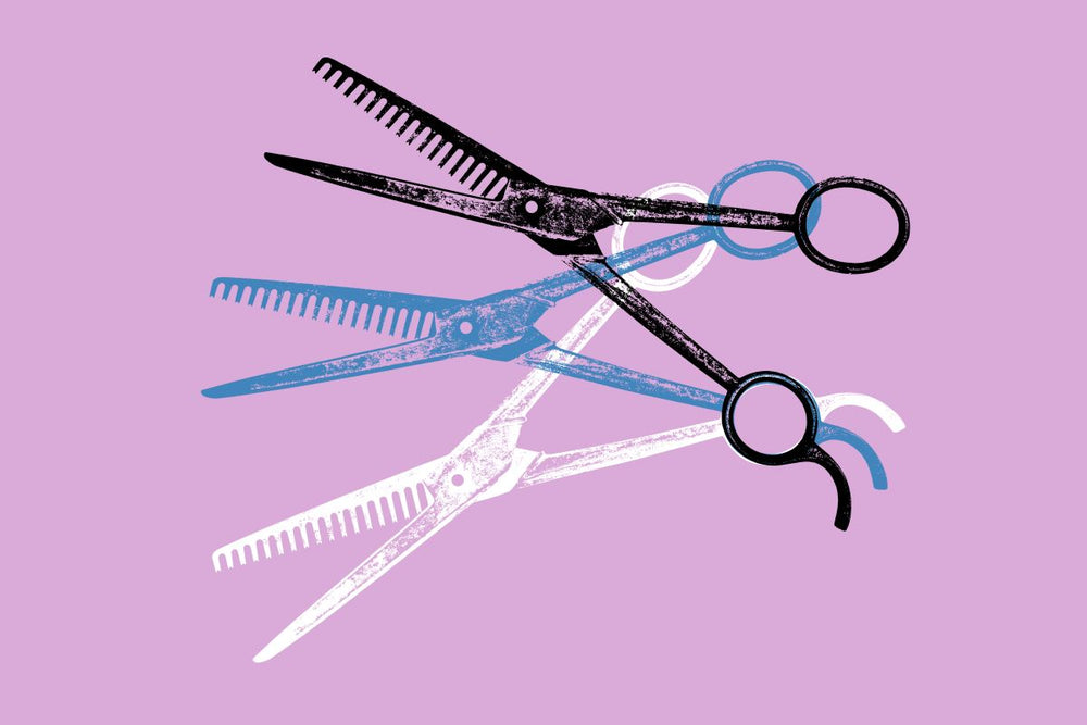 Hair Shears