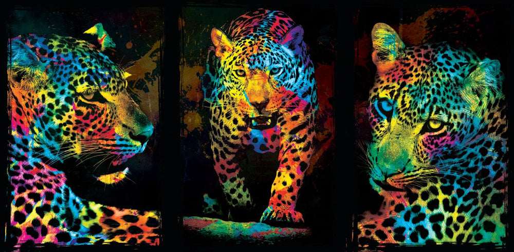 Rainbow Leopard Trio