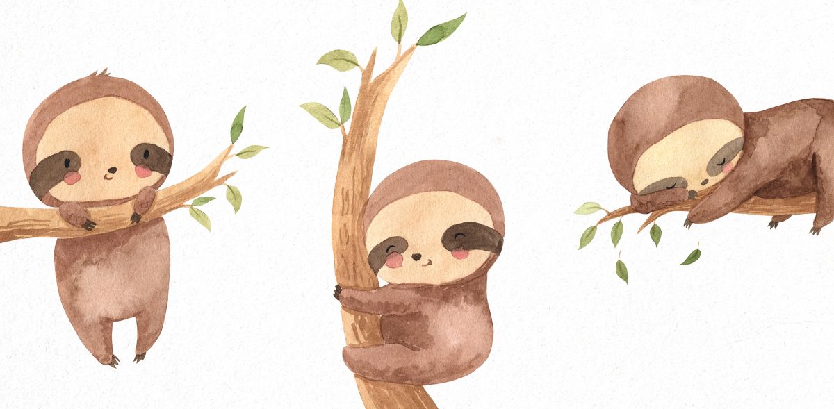 Clingy Sloths
