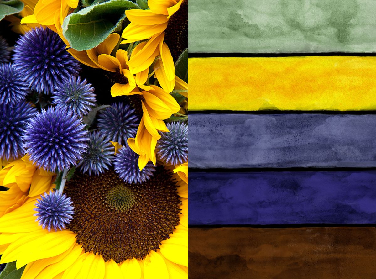 Sunflower And Allium Pallet