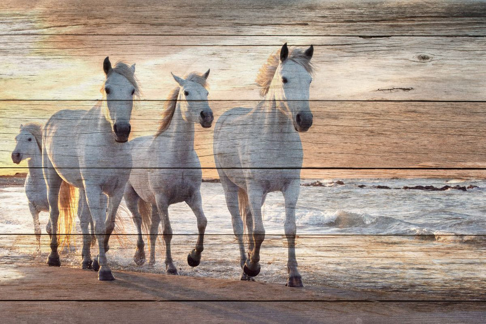Wooden White Horses
