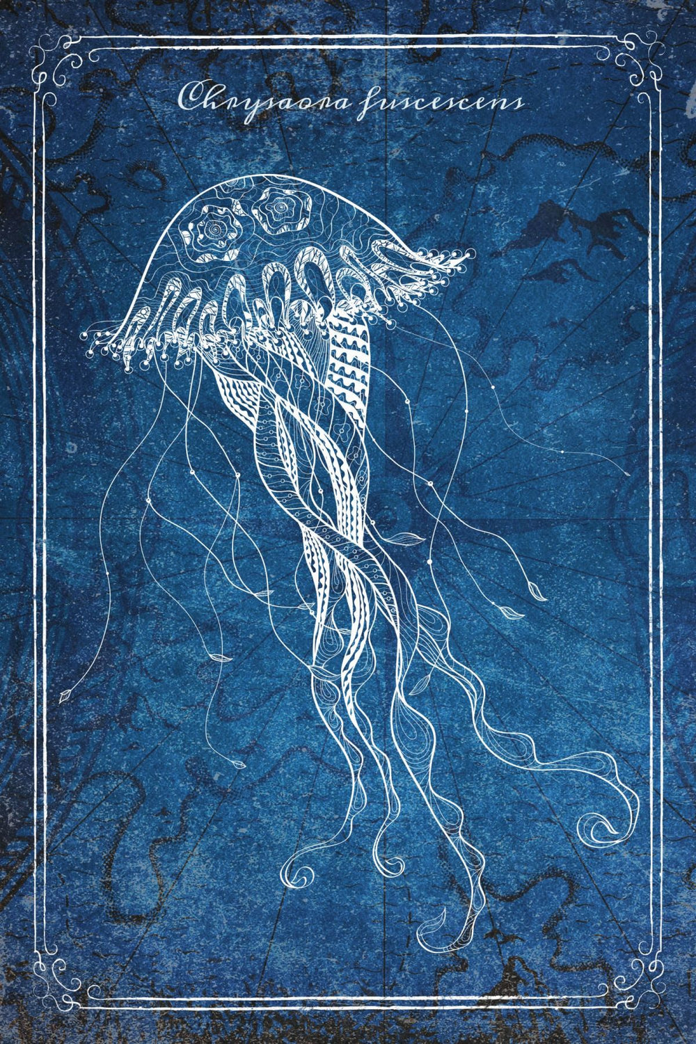 Blue Chrysaora Fuscescens Wall Art