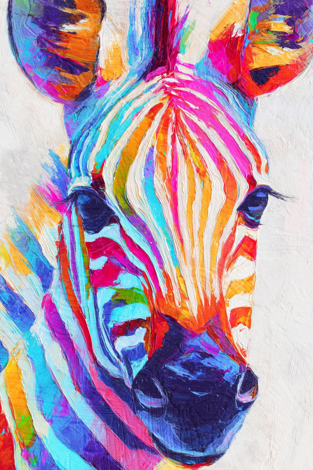 Colorful Zebra's Stare