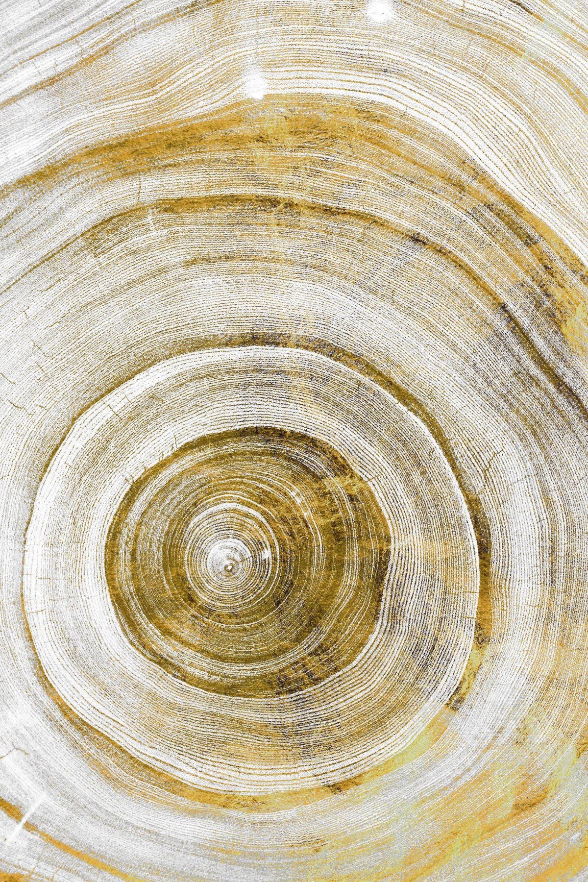 Tree Rings Abstract Geometric