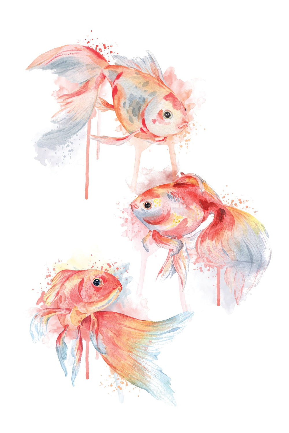 Goldfish Trio Splash