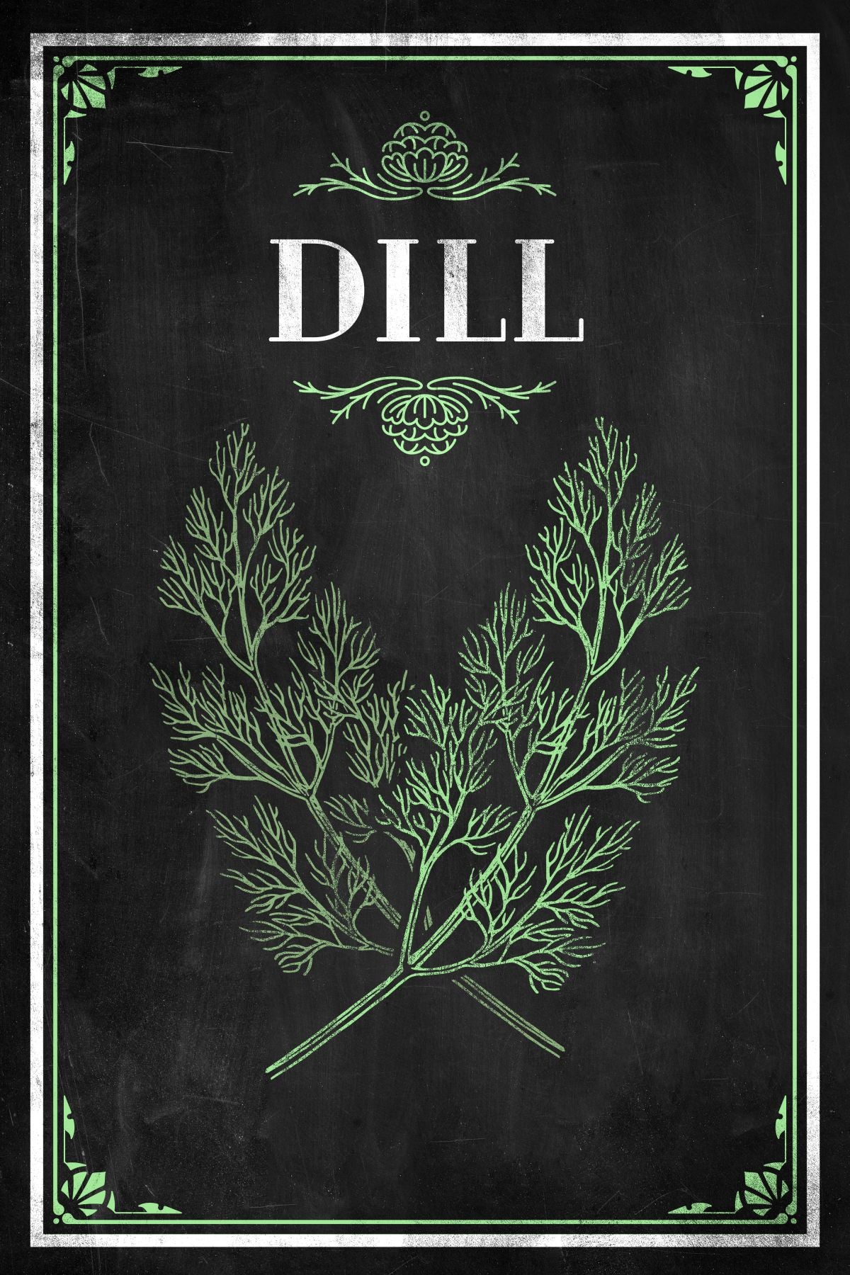 Fresh Dill