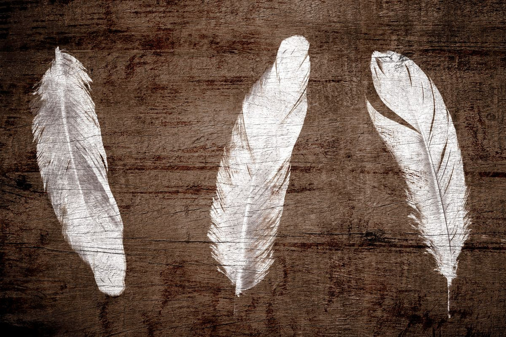 Woodgrain White Feathers