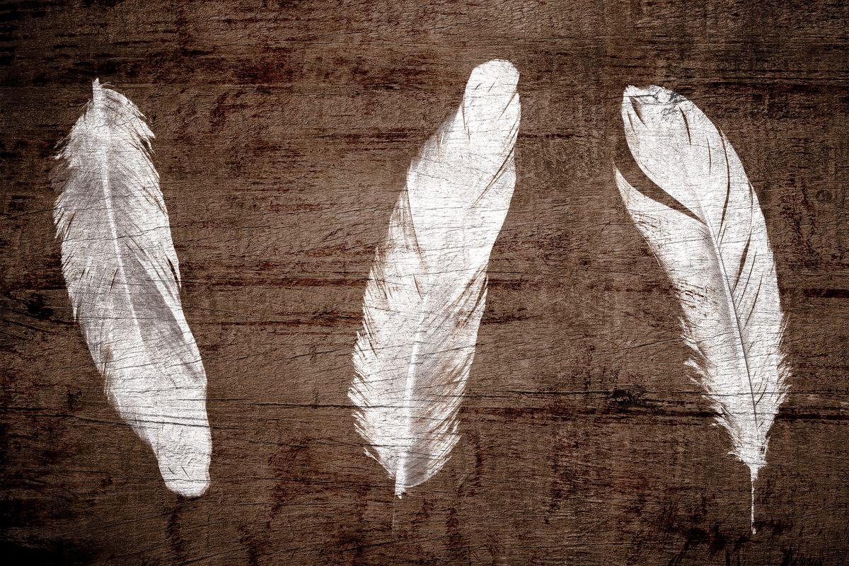 Woodgrain White Feathers