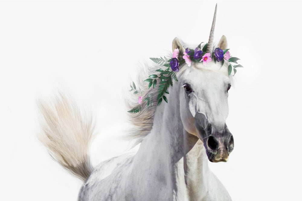 Flower Crown Unicorn