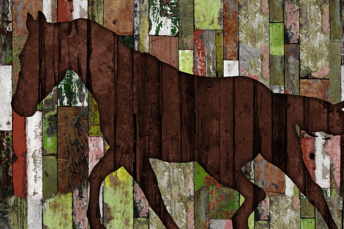 Horse Silhouette On Wood