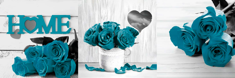 Home Roses Pop