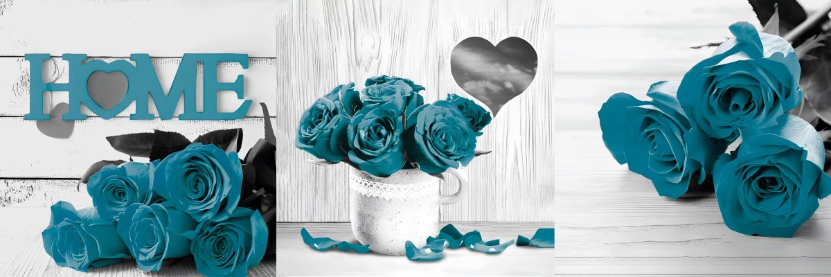 Home Roses Pop