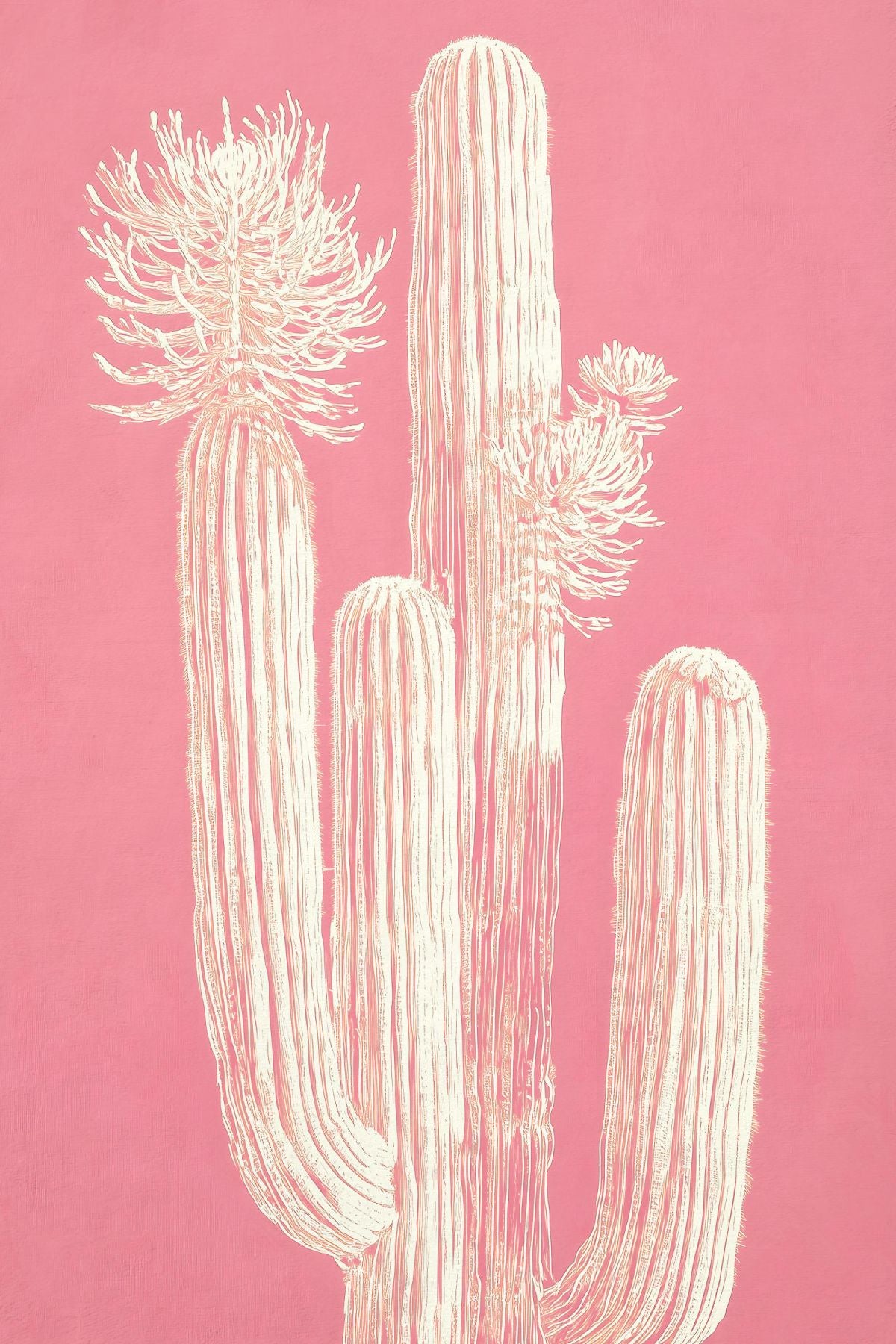 Cactus In Blush