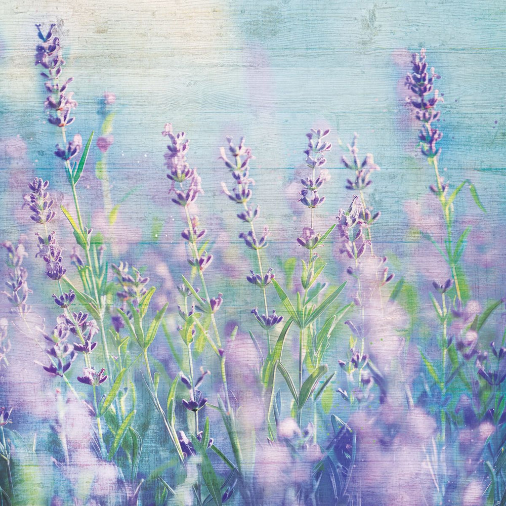 Purple Blossoms In The Morning