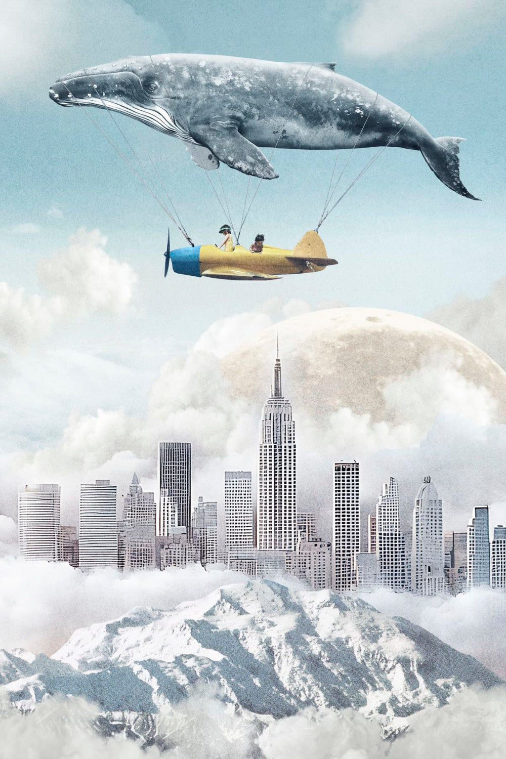 Flight Of The Whale