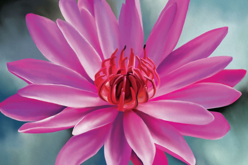 Dreamy Pink Lotus