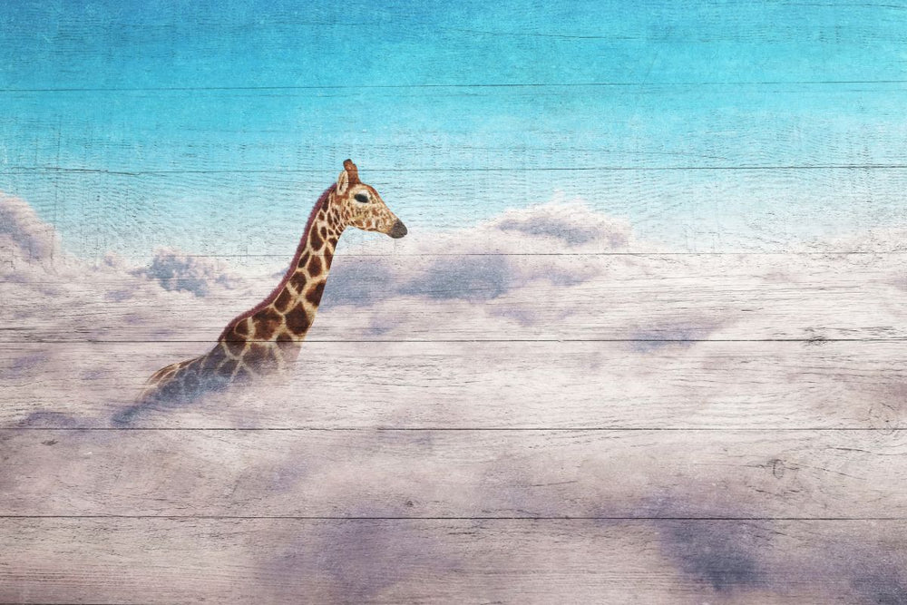 Wooden Giraffe Above Clouds
