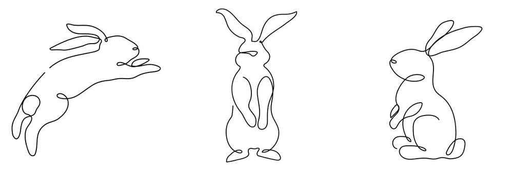Line Bunny