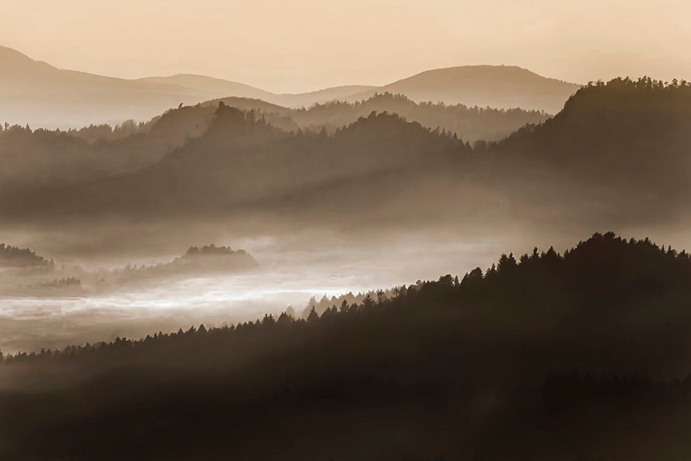 Quiet Heights